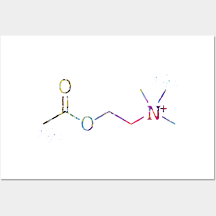 Acetylcholine molecule Posters and Art